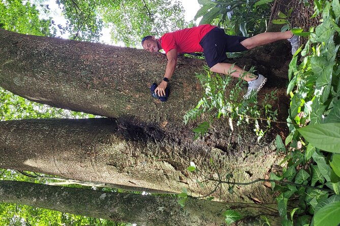 guanacaste-full-day-explore-nature-horse-sloth-and-waterfalls