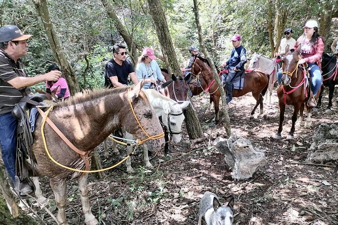guanacaste-full-day-explore-nature-horse-sloth-and-waterfalls