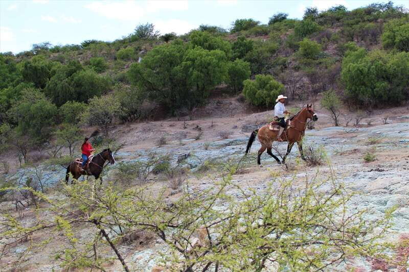 Guanajuato: horse ride tour - An In-Depth Look at the Guanajuato Horse Ride Tour