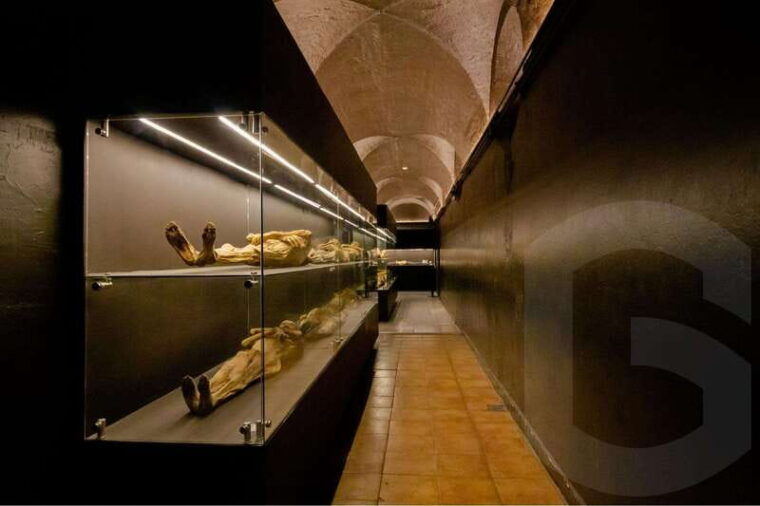guanajuato-mummies-mines-and-tunnels-guided-tour