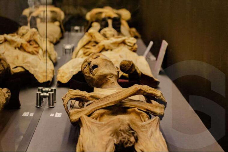 guanajuato-mummies-mines-and-tunnels-guided-tour
