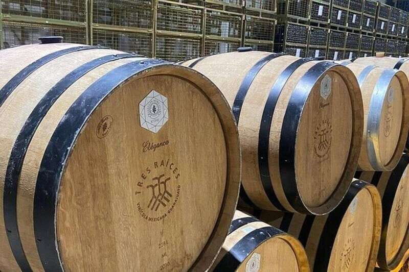 Guanajuato: Private Wine Route Tour with Tastings - Practical Details and Tips