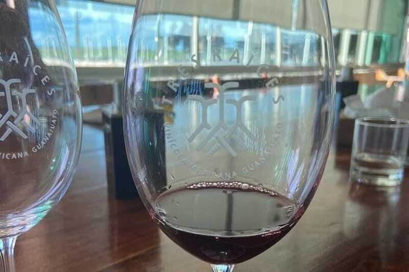 Guanajuato: Private Wine Route Tour with Tastings - FAQ