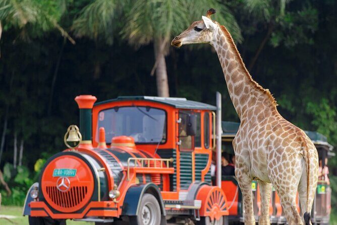 Guangzhou Chimelong Safari Park - What is Guangzhou Chimelong Safari Park?