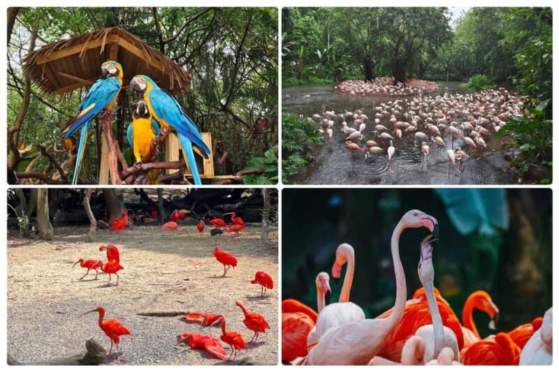 Guangzhou Chimelong: Safari Park/ParadiseOptional Day Tour - The Location and How to Get There