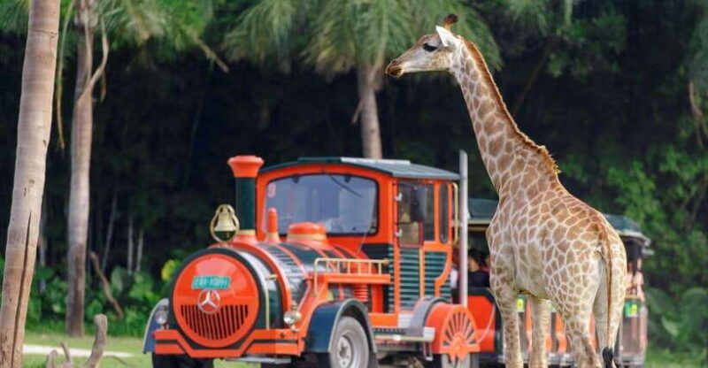 guangzhou-chimelong-safari-park-ticket