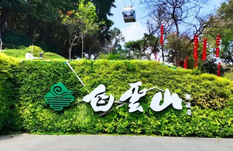 Guangzhou: City Highlights Tour with Lunch & Guide - Is This Tour Worth It?