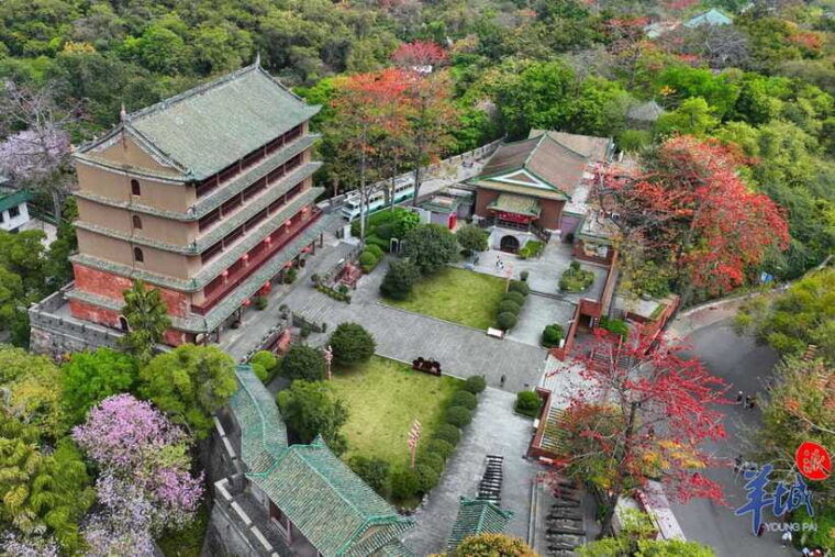 guangzhou-full-day-city-tour-with-old-and-new-highlights