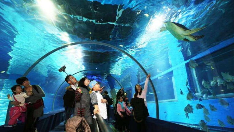 guangzhou-grandview-plaza-polar-ocean-world-entry-ticket