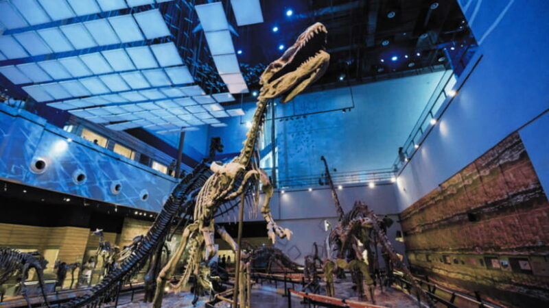 guangzhou-guangdong-museum-admission