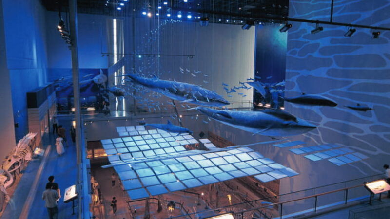 guangzhou-guangdong-museum-admission