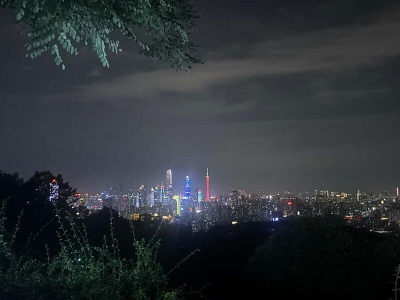 Guangzhou: Jade Market Private Tour and Guzheng Music Class - A Genuine Look at the Guangzhou Jade Market & Guzheng Tour