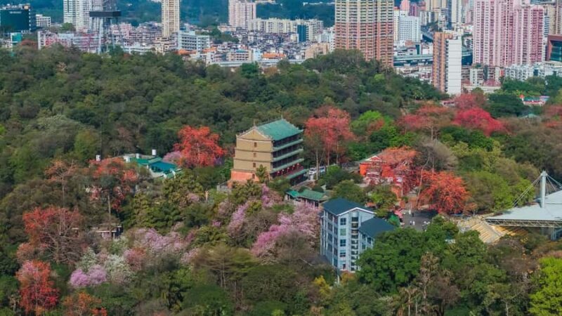 Guangzhou: Old & New City Tour with Pearl River Night Cruise - Final Thoughts: Who Will Love This Tour?
