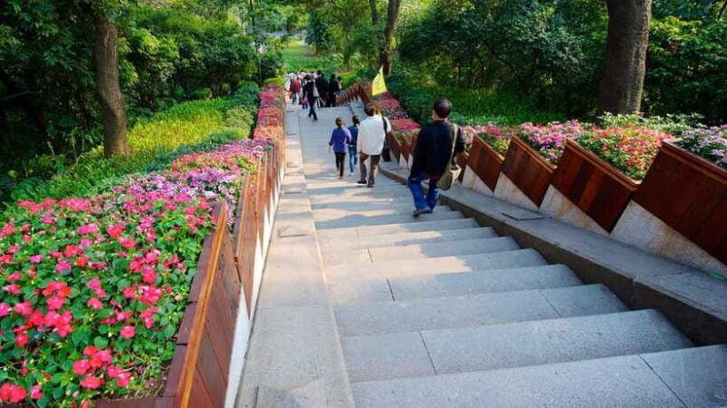 guangzhou-private-one-day-tailored-tour-in-flower-city