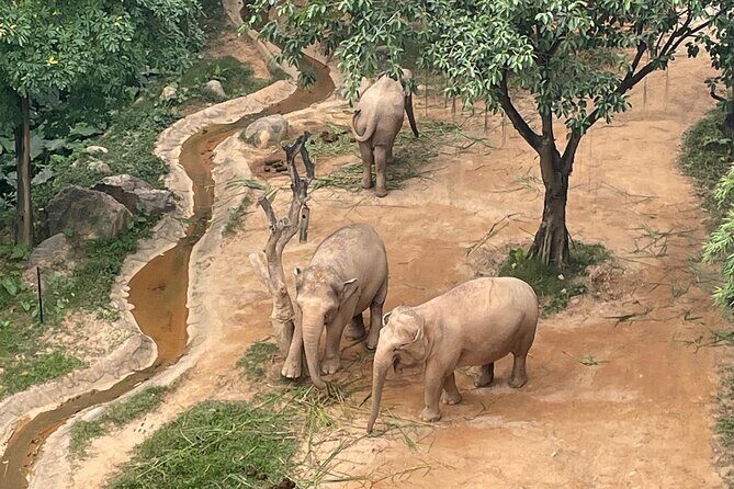 Guangzhou Private Safari Tour with Ride - Analyzing the Experience: Whats Included & Whats Not