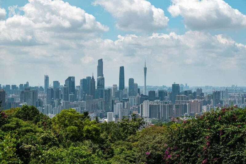 Guangzhou Private Tour: History, Culture & Food Highlights - The Buzz of Beijing Road Pedestrian Street