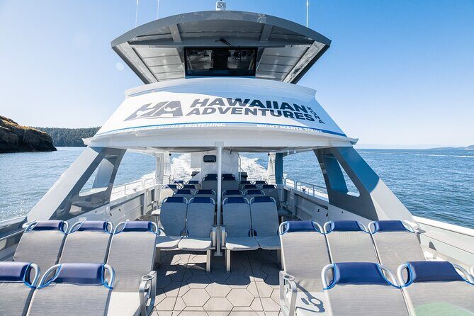 Guaranteed Dolphin and Whale Watch Tour in Kona - The Boat and Comfort: Why It Matters