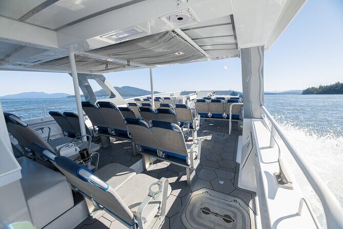 Guaranteed Dolphin and Whale Watch Tour in Kona - Final Thoughts: Is This Tour Right for You?
