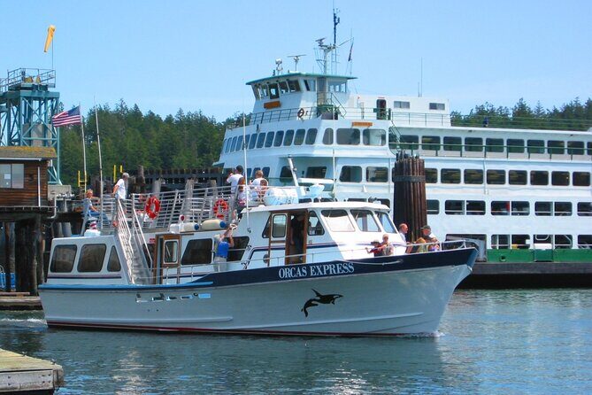 Guaranteed Whale Watching Tour - Final thoughts