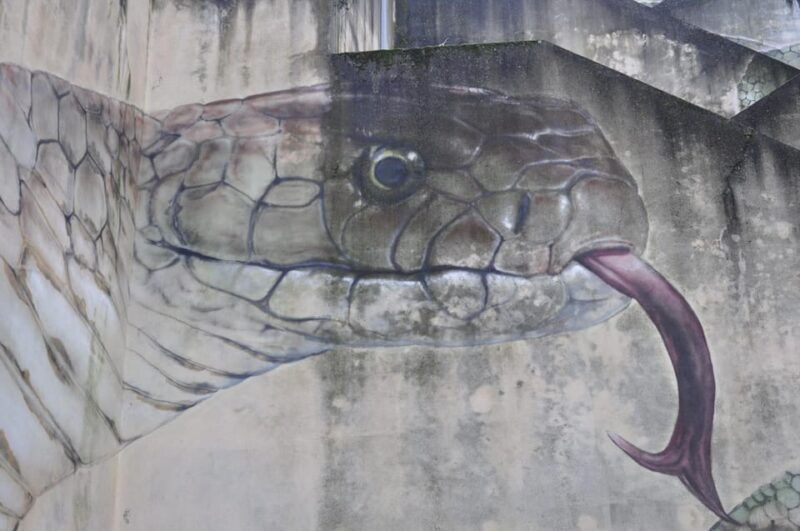 guarda-secrets-street-art-hidden-histories-free-tour