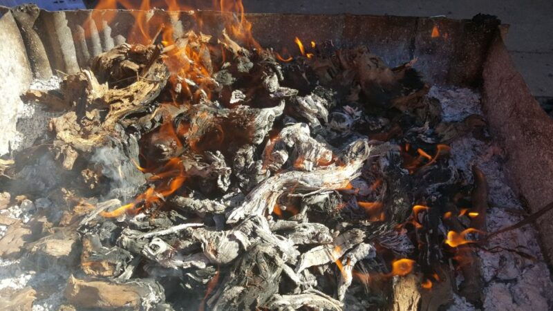 guardiola-de-font-rubi-winery-grill-menu-tour