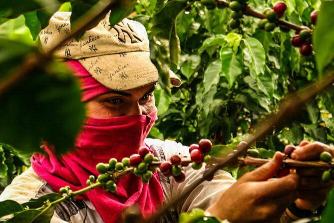 guatape-tour-boat-ride-coffee-tour-best-experience