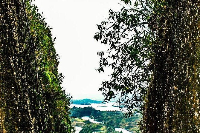 guatape-town-coffee-farm-and-the-rock
