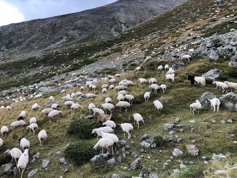 Gudauri and Kazbegi: Private Day Trip from Tbilisi - Exploring the Charm of Georgia’s Mountain and Heritage Sites in a Day
