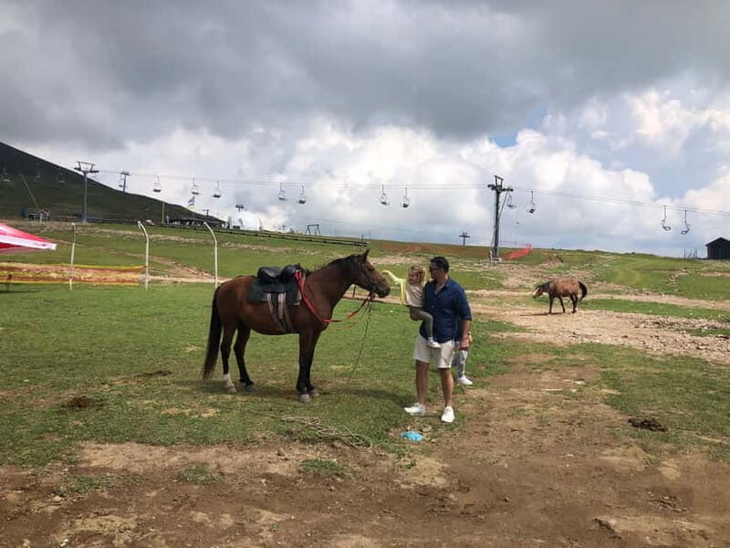 Gudauri and Kazbegi: Private Day Trip from Tbilisi - Who Will Love This Tour?