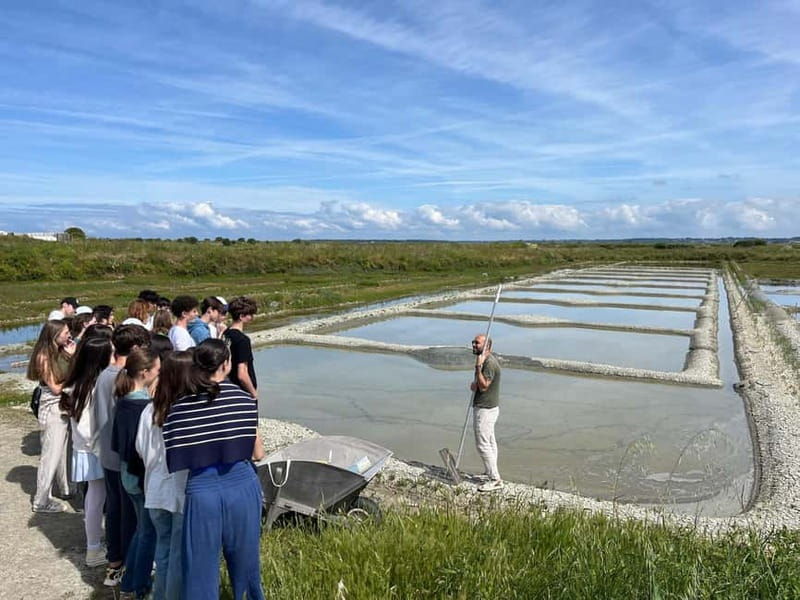 Guérande Salt Marshes tour - Key Points