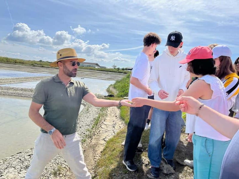 Guérande Salt Marshes tour - Why This Tour Stands Out