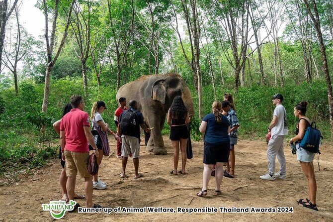 Guide Tour to Khaolak Elephant Sanctuary in Small Group - Why This Tour Stands Out