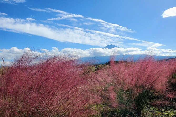 guided-2-days-mt-fuji-and-hakone-tour-green-number-plates