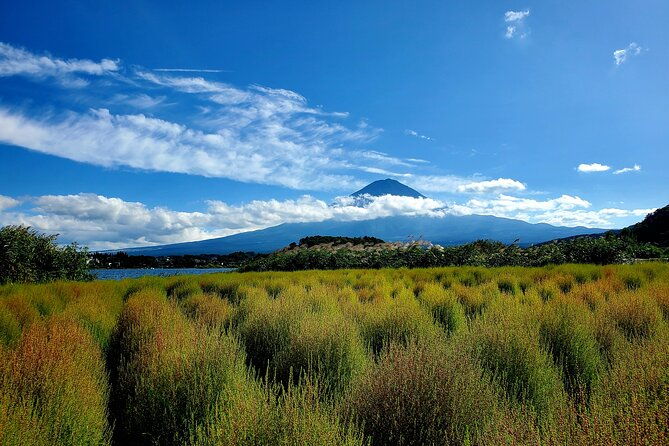 guided-2-days-mt-fuji-and-hakone-tour-green-number-plates