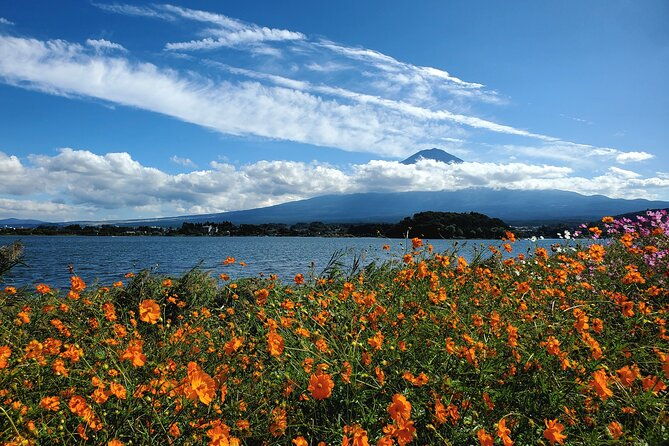 guided-2-days-mt-fuji-and-hakone-tour-green-number-plates