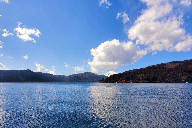 guided-2-days-tour-tokyo-mt-fuji-and-hakone-green-number-plates