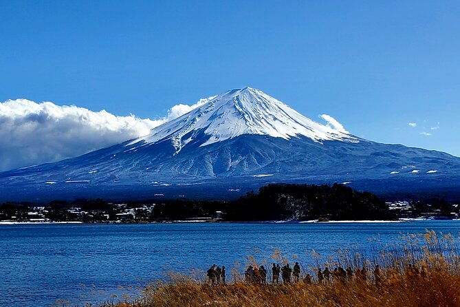 guided-2-days-tour-tokyo-mt-fuji-and-hakone-green-number-plates