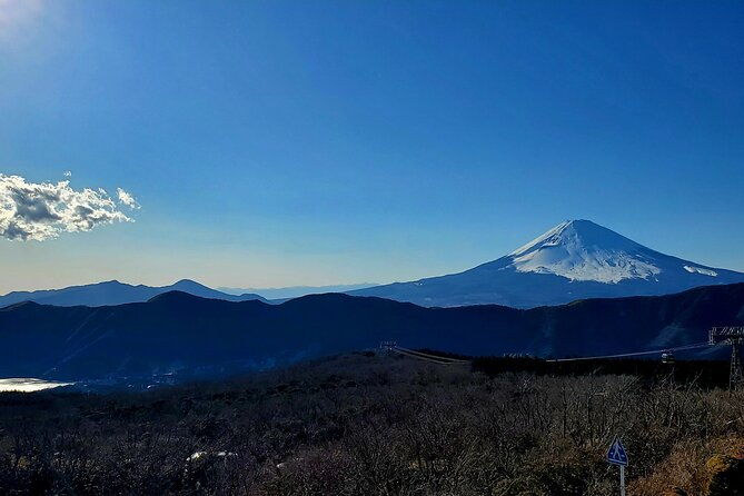 guided-2-days-tour-tokyo-mt-fuji-and-hakone-green-number-plates