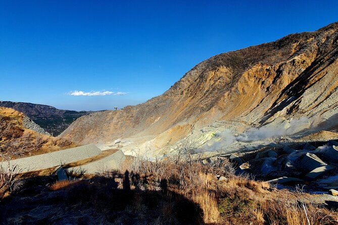 guided-2-days-tour-tokyo-mt-fuji-and-hakone-green-number-plates
