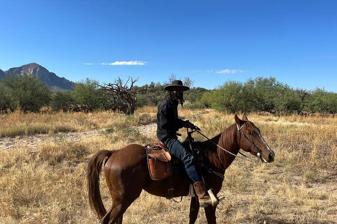 guided-2-hour-horseback-ride-catalina-state-park-coronado-forest