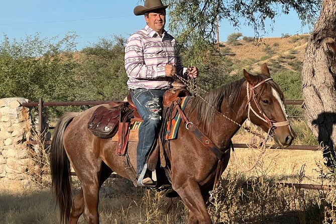 guided-2-hour-horseback-ride-catalina-state-park-coronado-forest