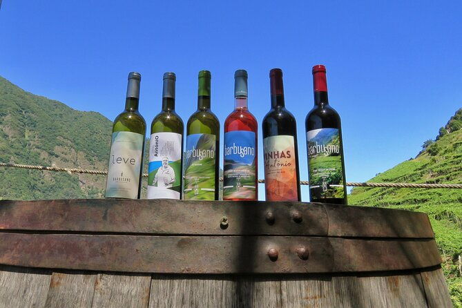 guided-4x4-adventure-and-skywalk-with-wine-and-tapas-in-madeira