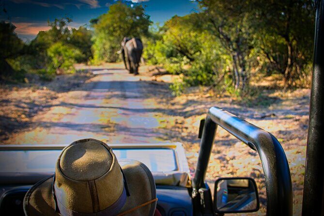 Guided 4x4 Town Safari in Victoria Falls - Exploring the Victoria Falls Guided 4x4 Town Safari