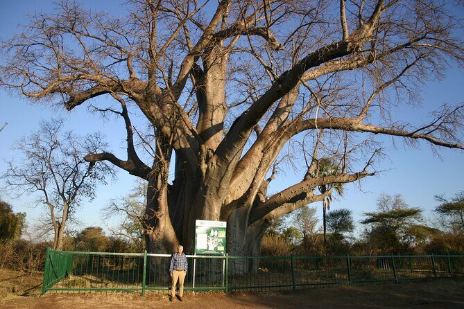 Guided 4x4 Town Safari in Victoria Falls - The Sum Up