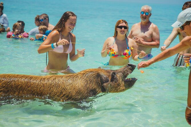 guided-all-inclusive-beach-day-excursion-in-bahamas