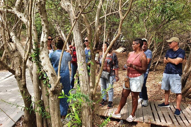 guided-art-heritage-nature-tour