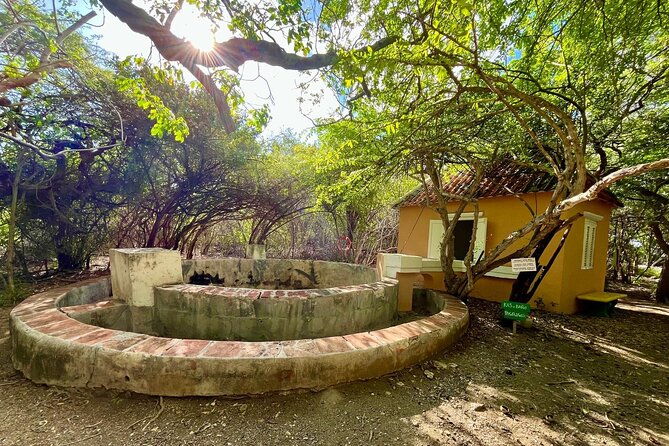 guided-art-heritage-nature-tour