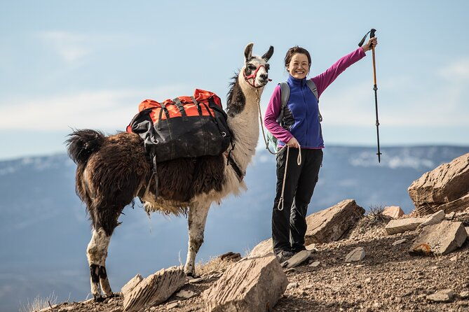guided-awesome-2-hour-llama-hikes-private-experience-2