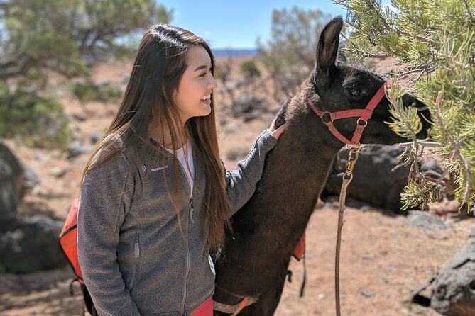 guided-awesome-2-hour-llama-hikes-private-experience-2