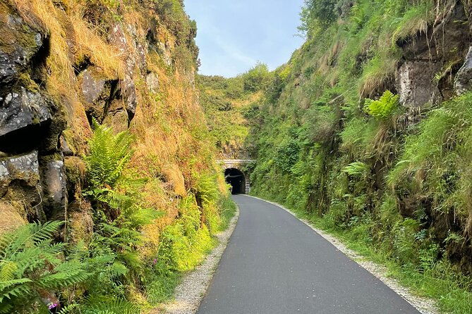 guided-bike-ride-exploring-the-limerick-greenway